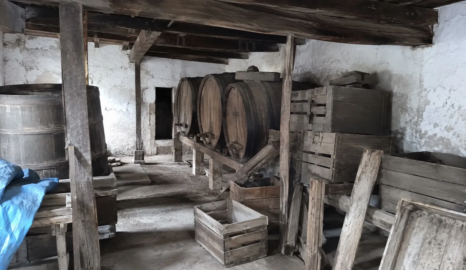 Geräumter Keller, besenrein übergeben in Eisenstadt