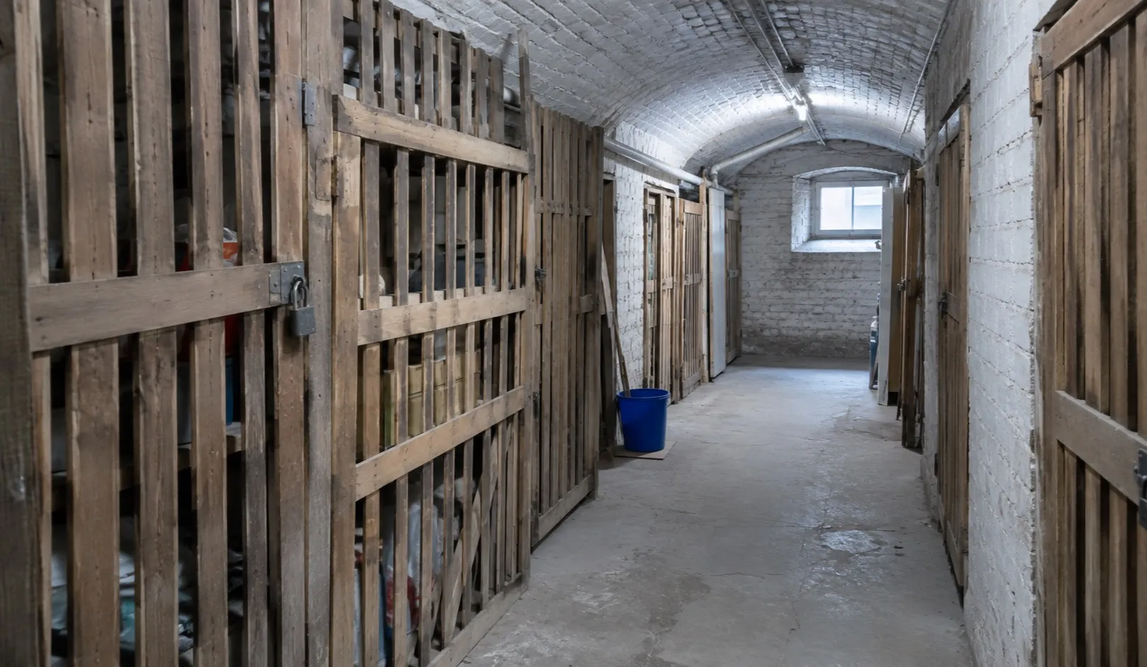 Geräumter Keller, besenrein übergeben im 13. Wiener Gemeindebezirk