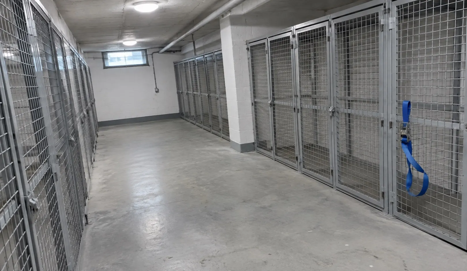 Geräumter Keller, besenrein übergeben