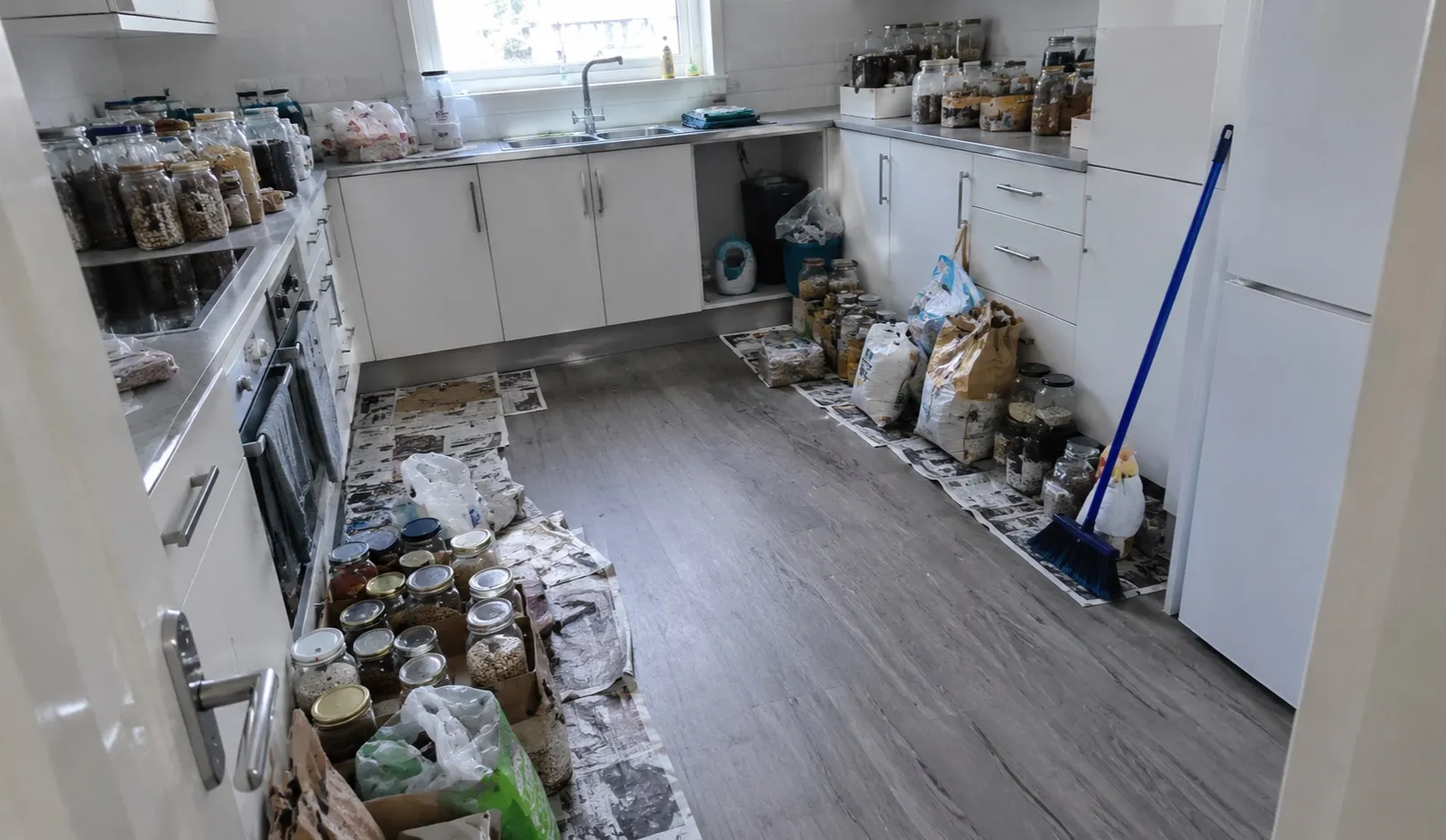 Geräumter Wohnraum nach einer Messie-Räumung im Bezirk Neusiedl am See
